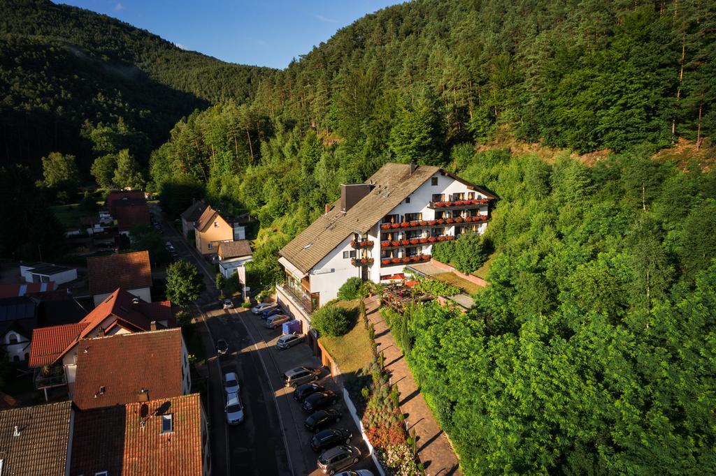 Hotel Die Kleine Blume Erfweiler Exteriör bild