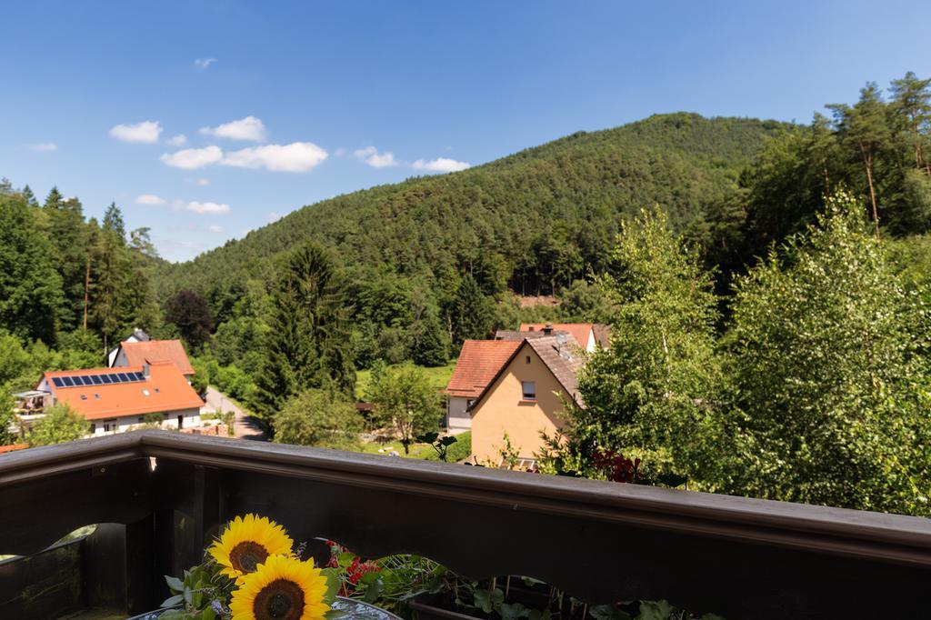 Hotel Die Kleine Blume Erfweiler Exteriör bild