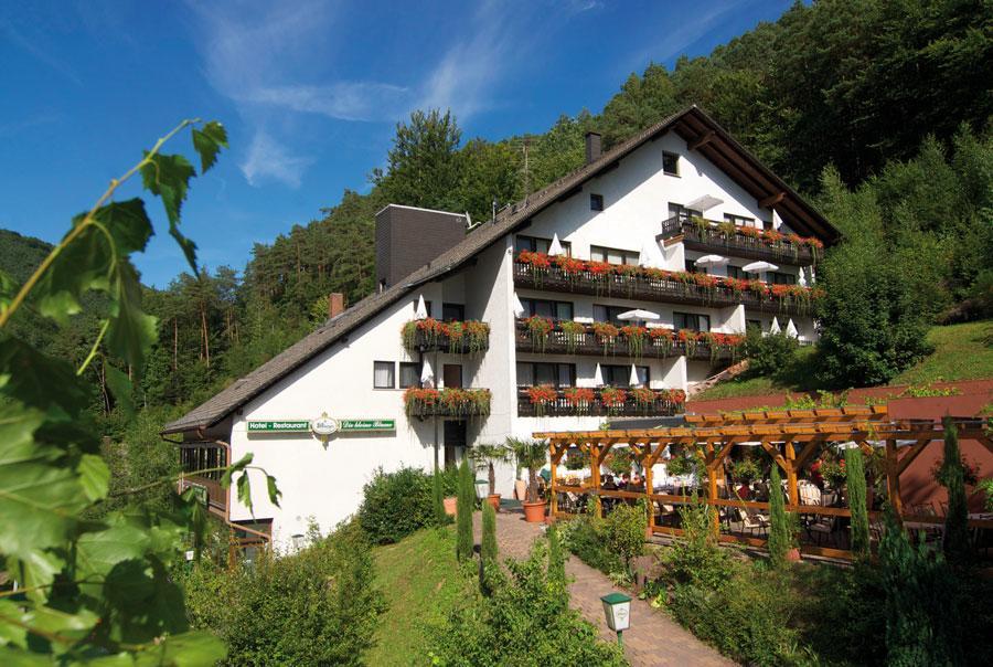 Hotel Die Kleine Blume Erfweiler Exteriör bild